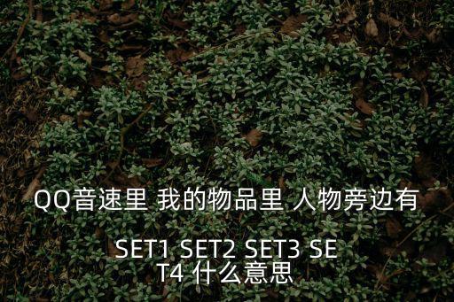 QQ音速里 我的物品里 人物旁邊有SET1 SET2 SET3 SET4 什么意思
