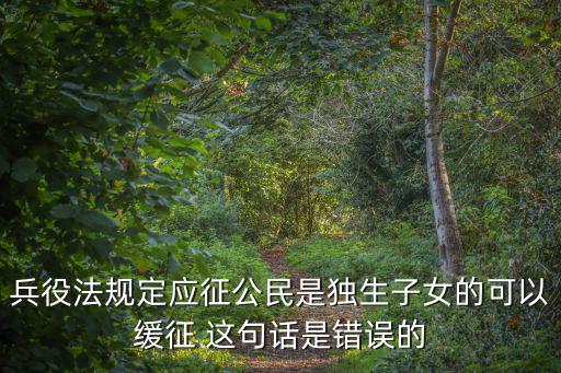 兵役法規定應征公民是獨生子女的可以緩征 這句話是錯誤的