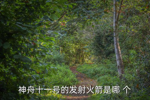 神舟十一號的發射火箭是哪 個