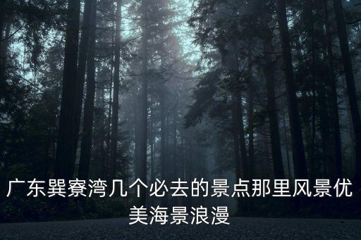 廣東巽寮灣，巽寮灣在廣轢省那個市