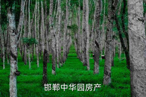 邯鄲中華園房產