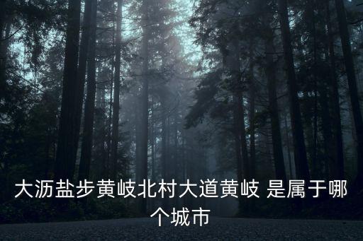 大瀝鹽步黃岐北村大道黃岐 是屬于哪個(gè)城市