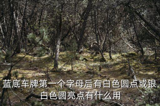 藍底車牌第一個字母后有白色圓點或銀白色圓亮點有什么用