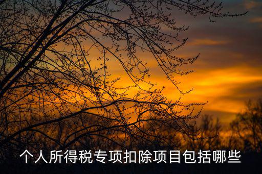 個人所得稅專項扣除項目包括哪些