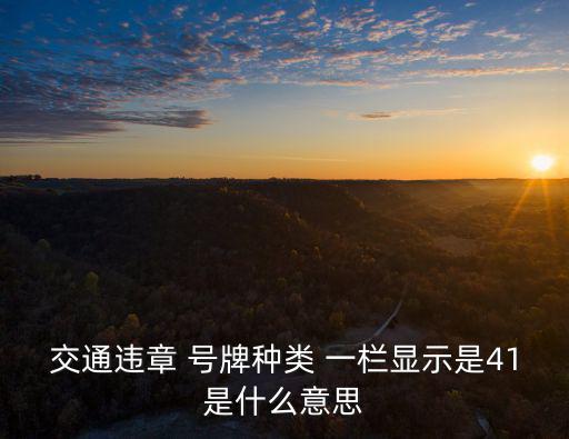 號牌種類，交通違章 號牌種類 一欄顯示是41是什么意思