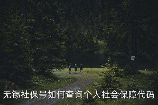 無(wú)錫社保號(hào)如何查詢個(gè)人社會(huì)保障代碼