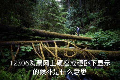 候補購票是什么意思，12306購票網上硬座或硬臥下顯示的候補是什么意思
