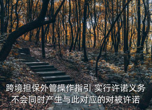 操作指引，跨境擔保外管操作指引 實行許諾義務不會同時產生與此對應的對被許諾