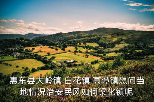 惠東縣大嶺鎮 白花鎮 高譚鎮想問當地情況治安民風如何梁化鎮呢