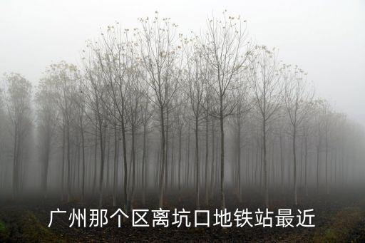 廣州那個(gè)區(qū)離坑口地鐵站最近