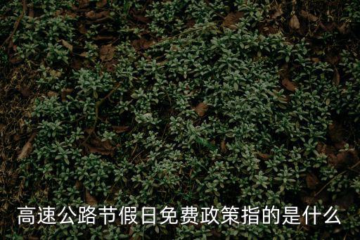 高速公路節假日免費政策指的是什么