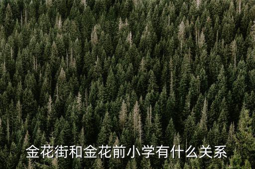 金花街和金花前小學有什么關系