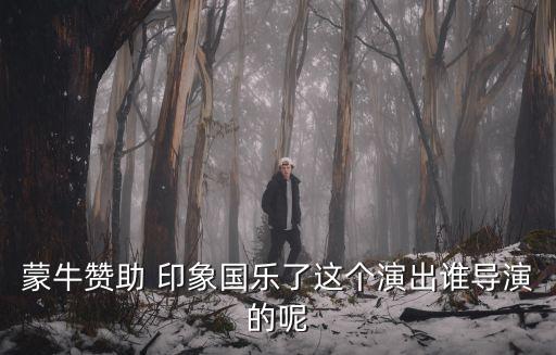 蒙牛贊助 印象國樂了這個演出誰導演的呢