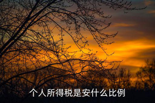 個人所得稅是安什么比例