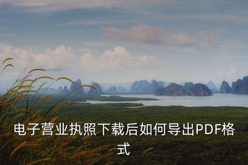 電子營業執照下載后如何導出PDF格式