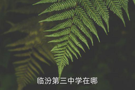 臨汾第三中學在哪