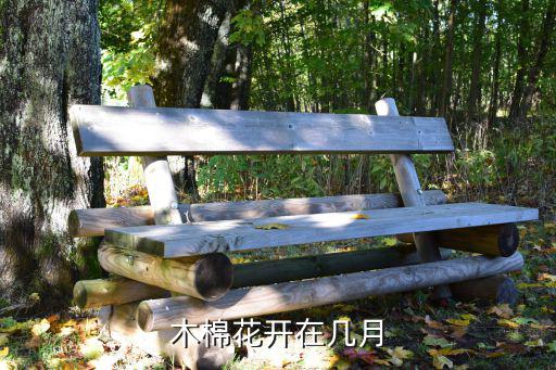 木棉花開在幾月