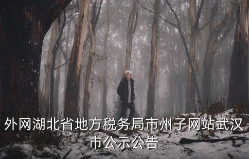 外網(wǎng)湖北省地方稅務(wù)局市州子網(wǎng)站武漢市公示公告