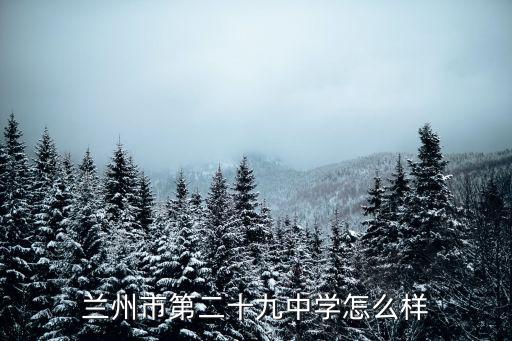 二十九中學，長春市第二十九中學怎么樣