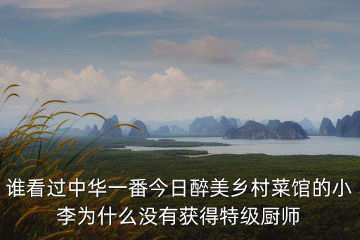 誰看過中華一番今日醉美鄉(xiāng)村菜館的小李為什么沒有獲得特級(jí)廚師
