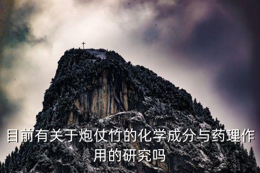 目前有關于炮仗竹的化學成分與藥理作用的研究嗎