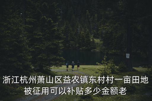 浙江杭州蕭山區益農鎮東村村一畝田地被征用可以補貼多少金額老