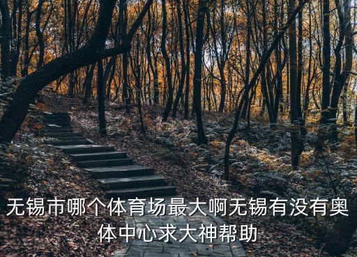 無錫市哪個體育場最大啊無錫有沒有奧體中心求大神幫助