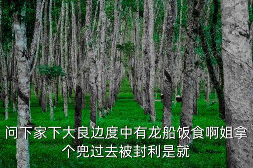 龍船飯，龍船飯是什么