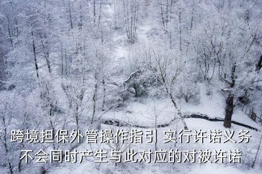 跨境擔(dān)保外管操作指引 實(shí)行許諾義務(wù)不會(huì)同時(shí)產(chǎn)生與此對(duì)應(yīng)的對(duì)被許諾