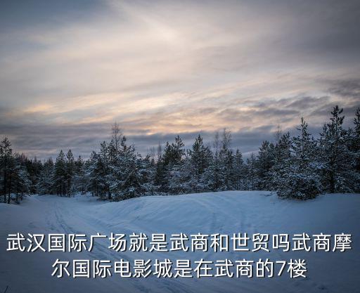 武漢國際廣場就是武商和世貿嗎武商摩爾國際電影城是在武商的7樓