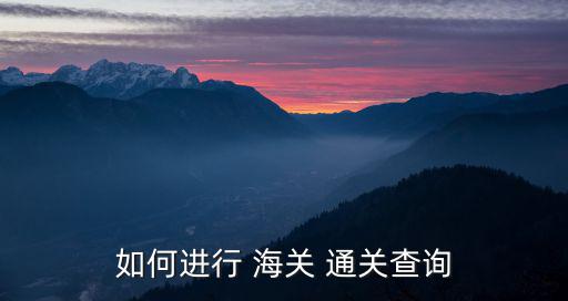 如何進行 海關 通關查詢