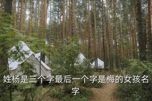 楊思梅，問做生意開業吉日