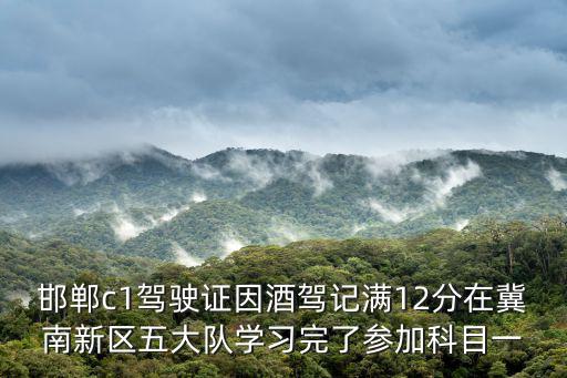 邯鄲c1駕駛證因酒駕記滿12分在冀南新區五大隊學習完了參加科目一