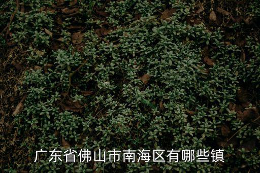 廣東省佛山市南海區有哪些鎮