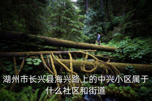 湖州市長(zhǎng)興縣海興路上的中興小區(qū)屬于什么社區(qū)和街道