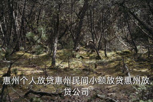 惠州個人放貸惠州民間小額放貸惠州放貸公司