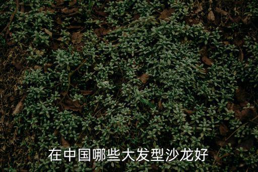 在中國哪些大發型沙龍好