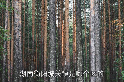 湖南衡陽城關鎮是哪個區的