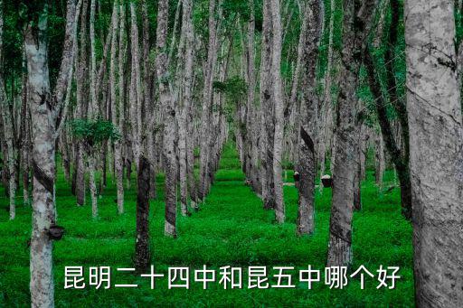 昆明二十四中和昆五中哪個好