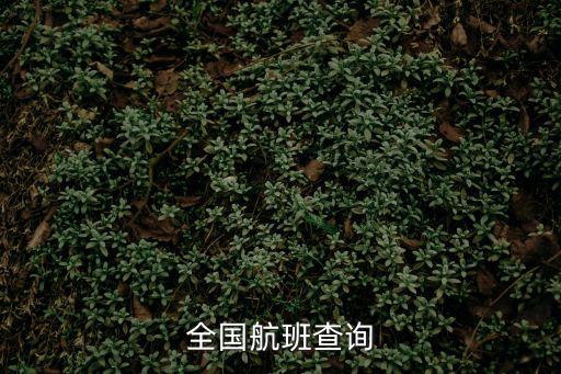 全國航班查詢