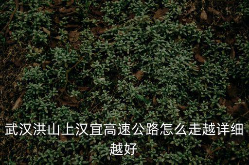 武漢洪山上漢宜高速公路怎么走越詳細越好