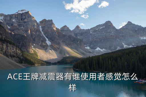 ACE王牌減震器有誰使用者感覺怎么樣