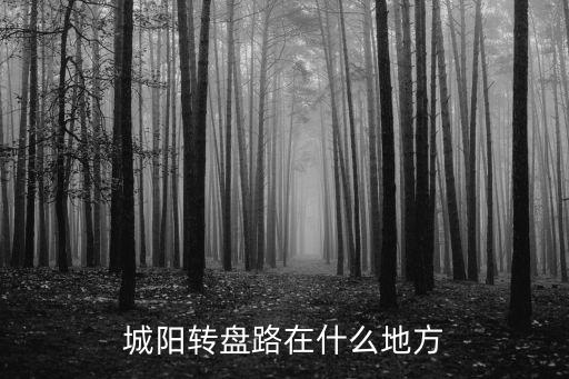 城陽轉盤路在什么地方