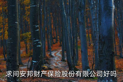 求問安邦財(cái)產(chǎn)保險(xiǎn)股份有限公司好嗎