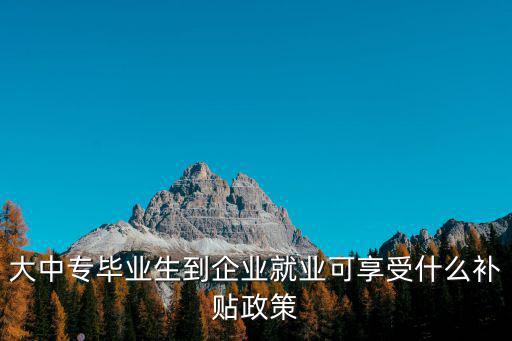 畢業(yè)生補貼，應屆畢業(yè)生補助是屬于個人還是公司