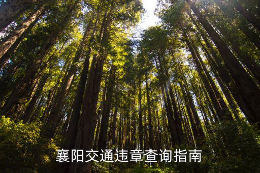 襄陽交通違章查詢指南