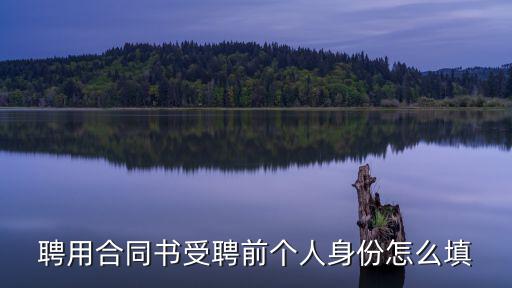 聘用合同書受聘前個(gè)人身份怎么填