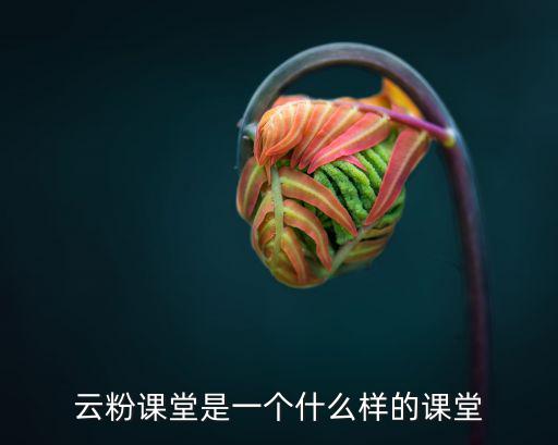 云粉課堂是一個(gè)什么樣的課堂
