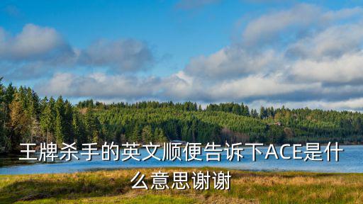 王牌殺手的英文順便告訴下ACE是什么意思謝謝