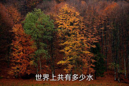 世界上有多少水，世界上共有多少水